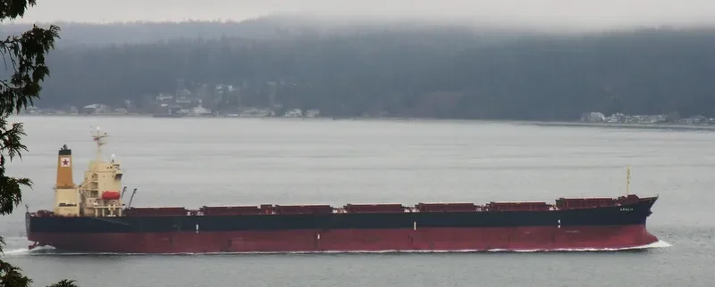 TASOS Bulk Carrier IMO 9180906 photo 7