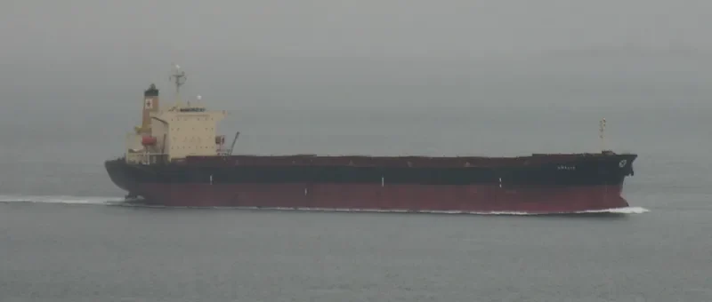 TASOS Bulk Carrier IMO 9180906 photo 8