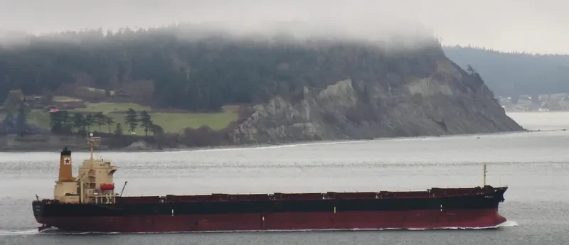 TASOS Bulk Carrier IMO 9180906 photo 9