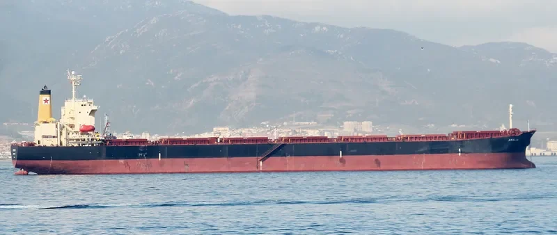TASOS Bulk Carrier IMO 9180906 photo 10