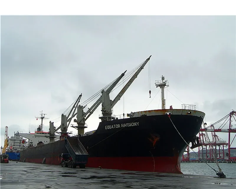 CHENG KAI Bulk Carrier IMO 9181039