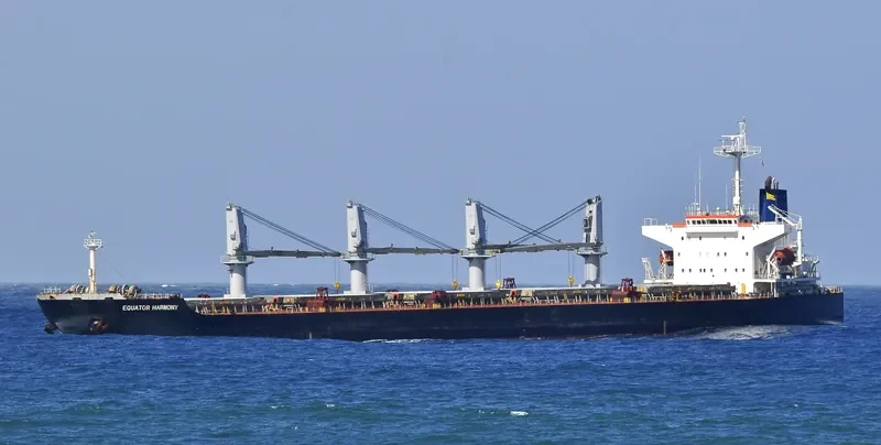 CHENG KAI Bulk Carrier IMO 9181039 photo 2