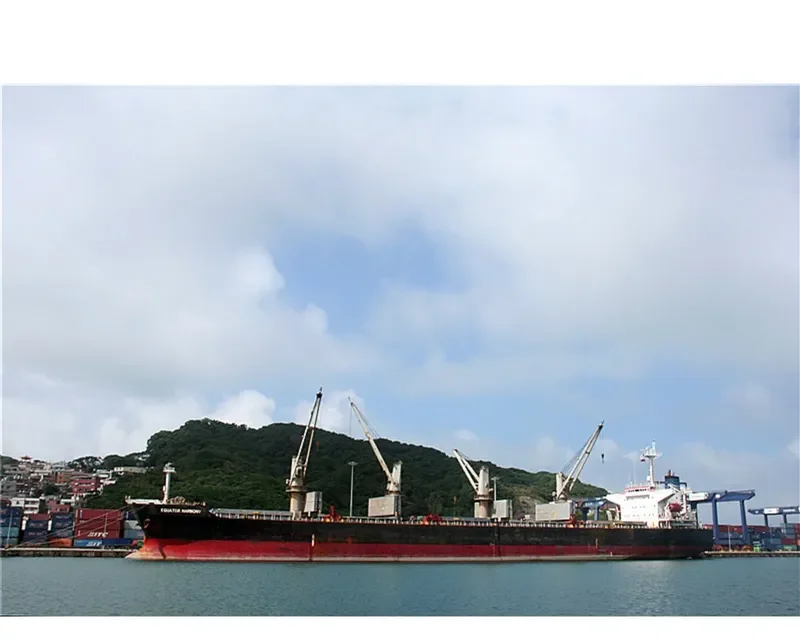 CHENG KAI Bulk Carrier IMO 9181039 photo 3