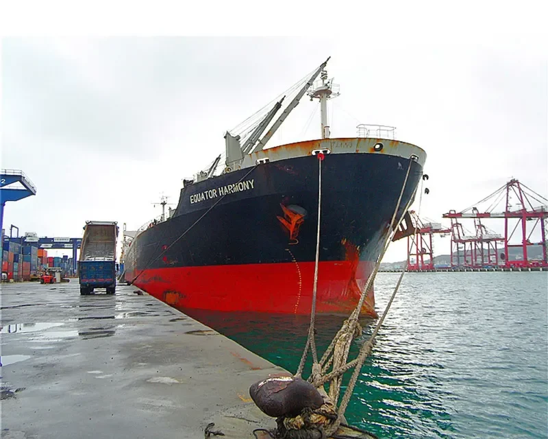 CHENG KAI Bulk Carrier IMO 9181039 photo 6