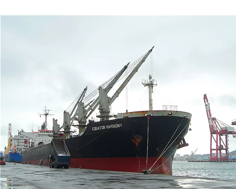 CHENG KAI Bulk Carrier IMO 9181039 photo 7