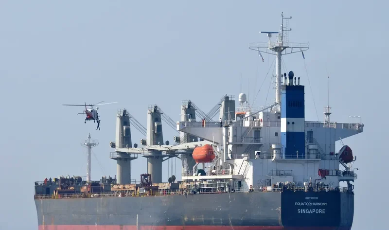 CHENG KAI Bulk Carrier IMO 9181039 photo 8