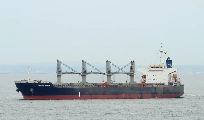 CHENG KAI Bulk Carrier IMO 9181039 photo 9