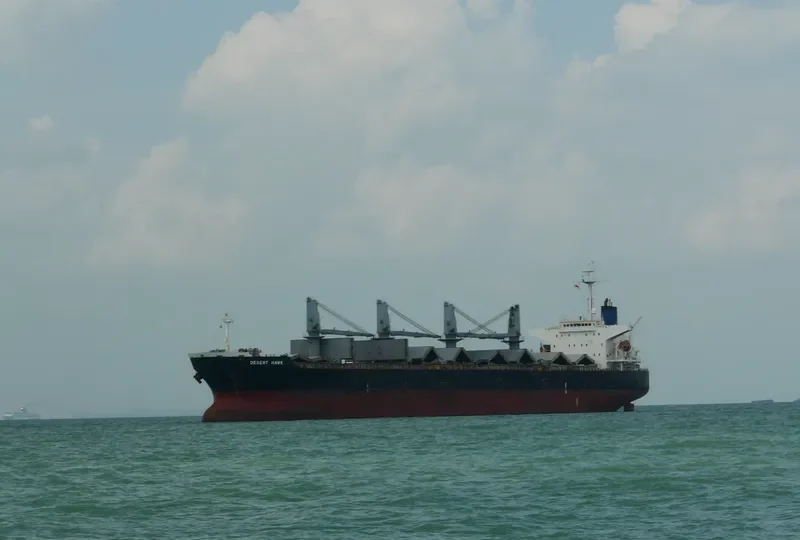 CHENG KAI Bulk Carrier IMO 9181039 photo 10
