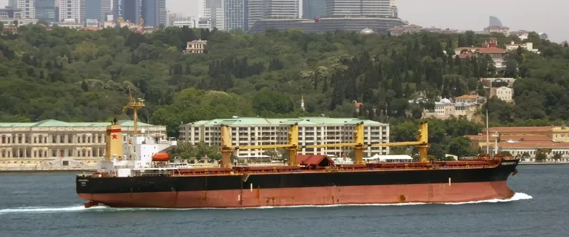 KAI YUE Bulk Carrier IMO 9181041 photo 4