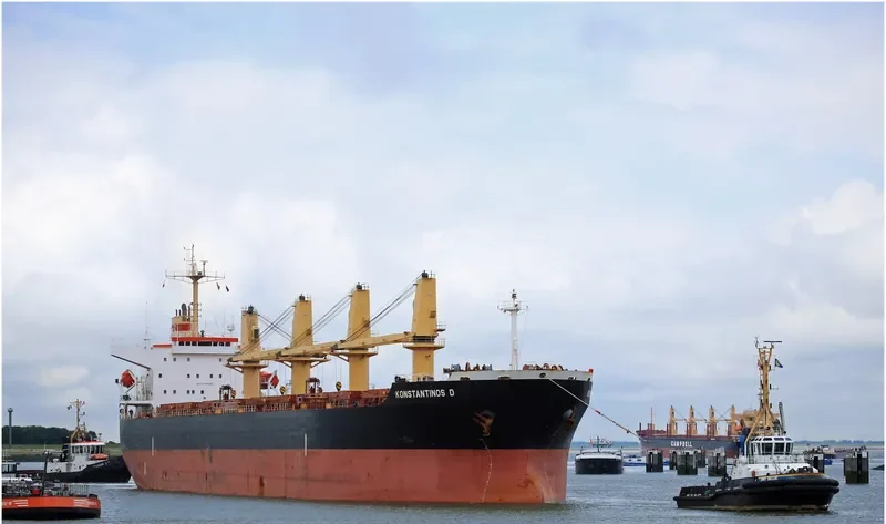 KAI YUE Bulk Carrier IMO 9181041 photo 6