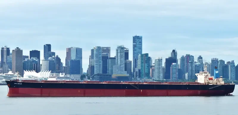 CAPE NATALIE Bulk Carrier IMO 9181118 photo 4