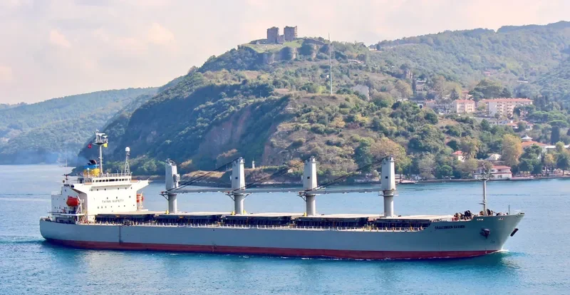HIROKI Bulk Carrier IMO 9181120