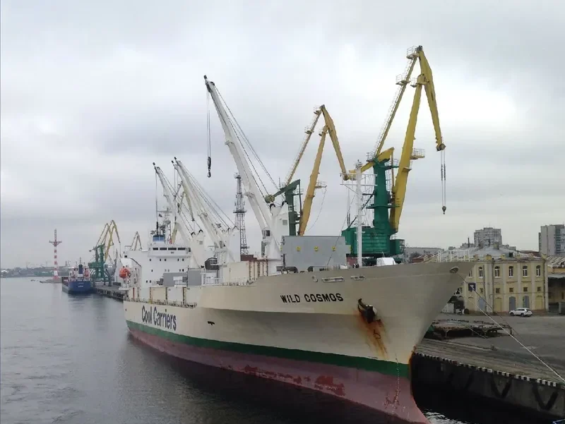 WILD COSMOS General Cargo IMO 9181132