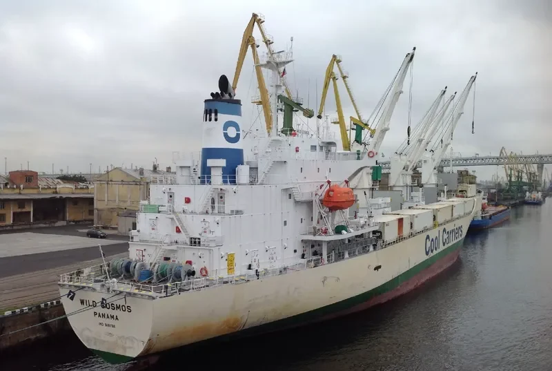 WILD COSMOS General Cargo IMO 9181132 photo 2
