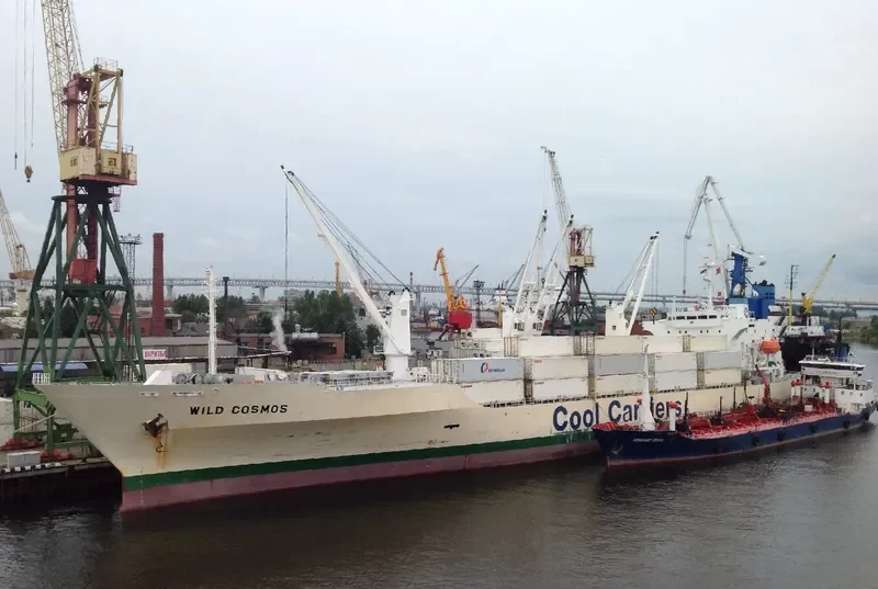 WILD COSMOS General Cargo IMO 9181132 photo 3
