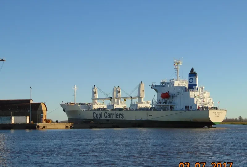 WILD COSMOS General Cargo IMO 9181132 photo 4