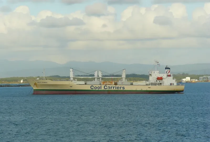WILD COSMOS General Cargo IMO 9181132 photo 5