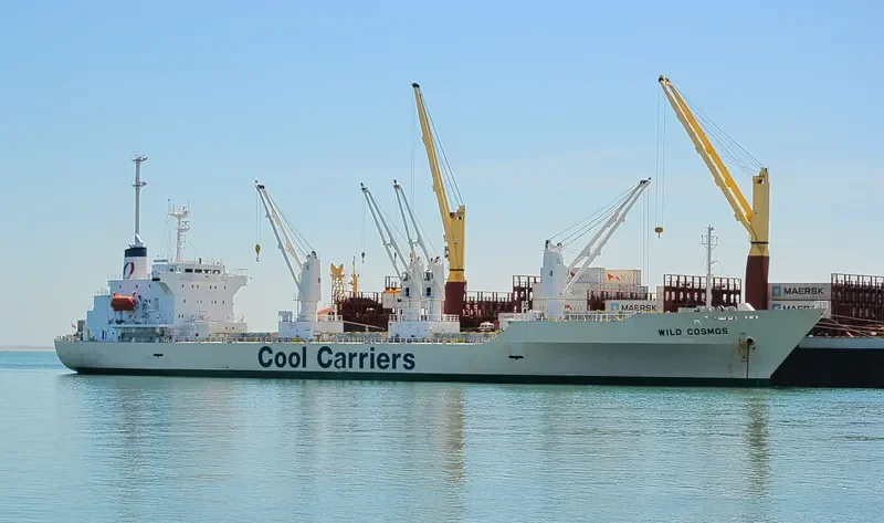 WILD COSMOS General Cargo IMO 9181132 photo 7