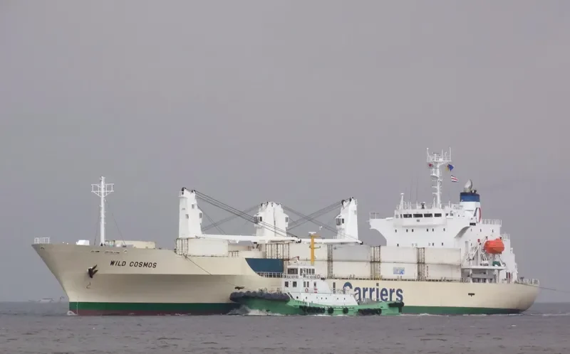 WILD COSMOS General Cargo IMO 9181132 photo 8