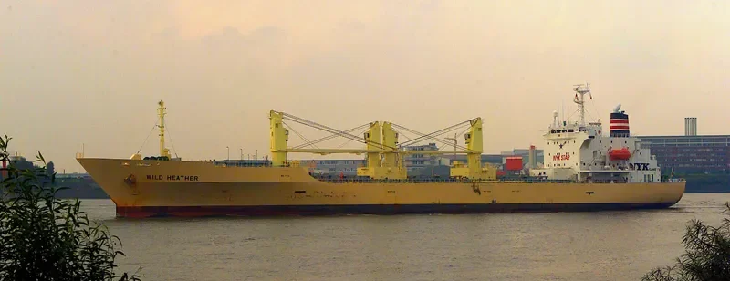 BALTIC HEATHER General Cargo IMO 9181144 photo 2