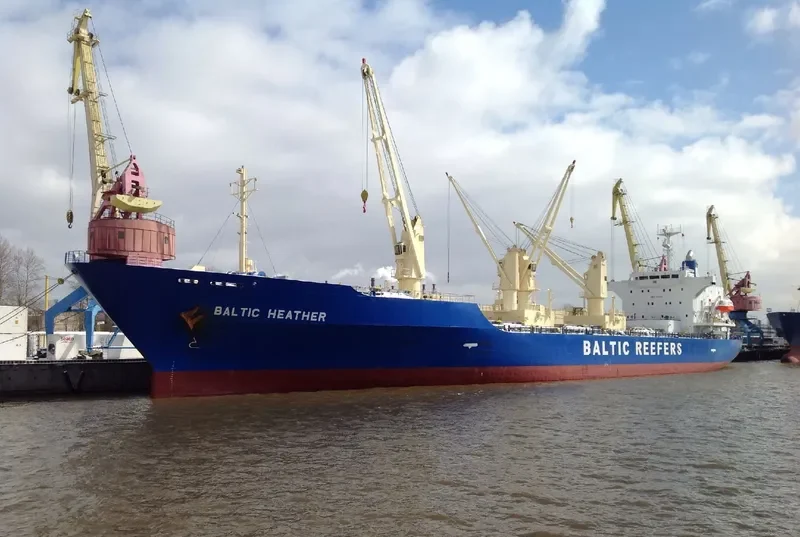 BALTIC HEATHER General Cargo IMO 9181144 photo 4