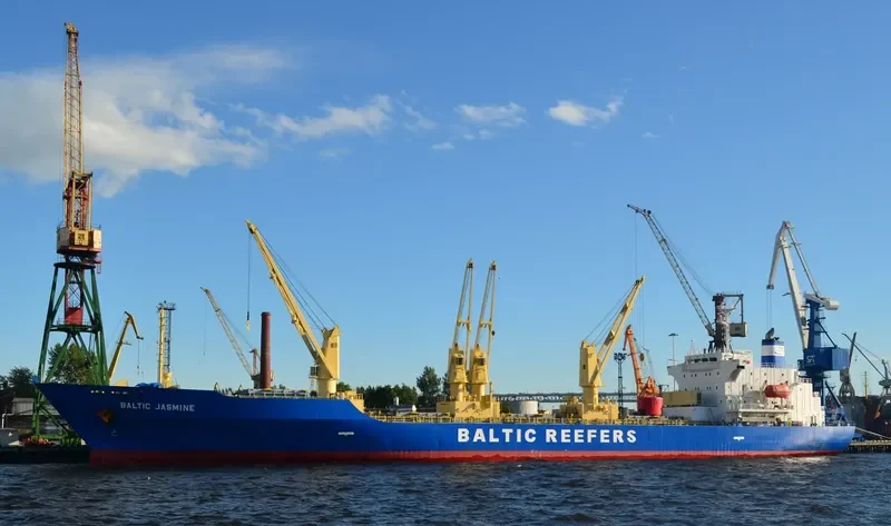 BALTIC JASMINE General Cargo IMO 9181156 photo 2