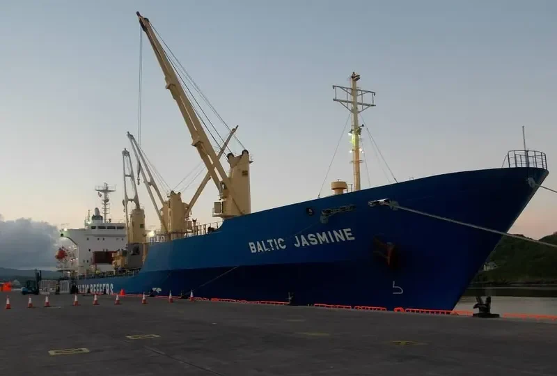 BALTIC JASMINE General Cargo IMO 9181156 photo 5