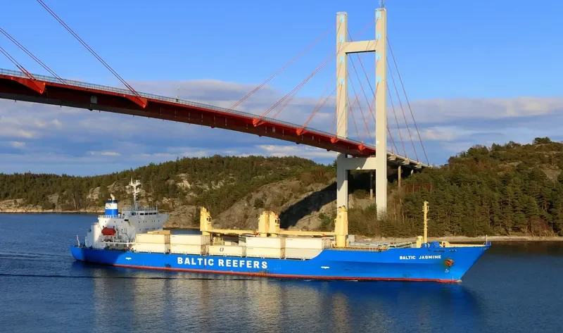 BALTIC JASMINE General Cargo IMO 9181156 photo 9
