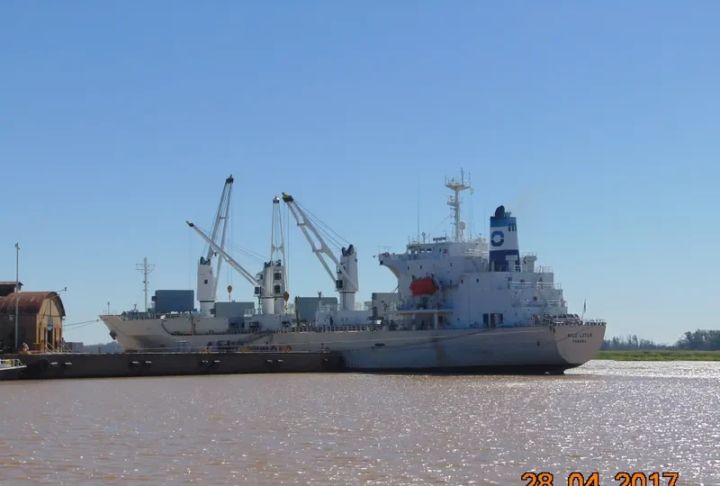 WILD LOTUS General Cargo IMO 9181168