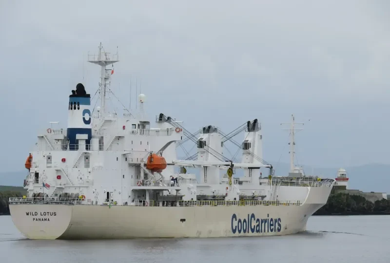 WILD LOTUS General Cargo IMO 9181168 photo 2