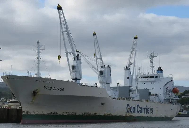 WILD LOTUS General Cargo IMO 9181168 photo 3