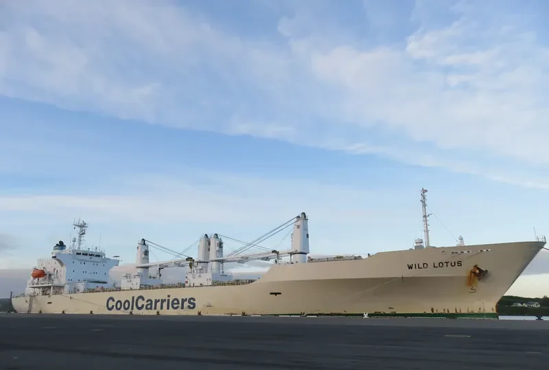 WILD LOTUS General Cargo IMO 9181168 photo 4