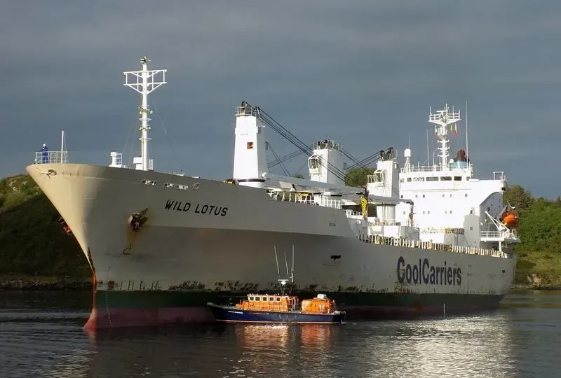 WILD LOTUS General Cargo IMO 9181168 photo 5