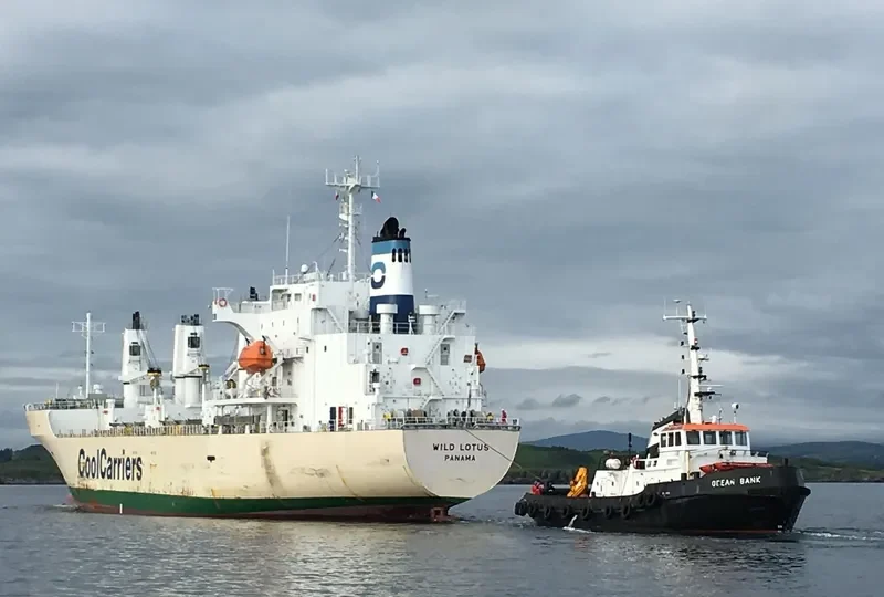 WILD LOTUS General Cargo IMO 9181168 photo 6
