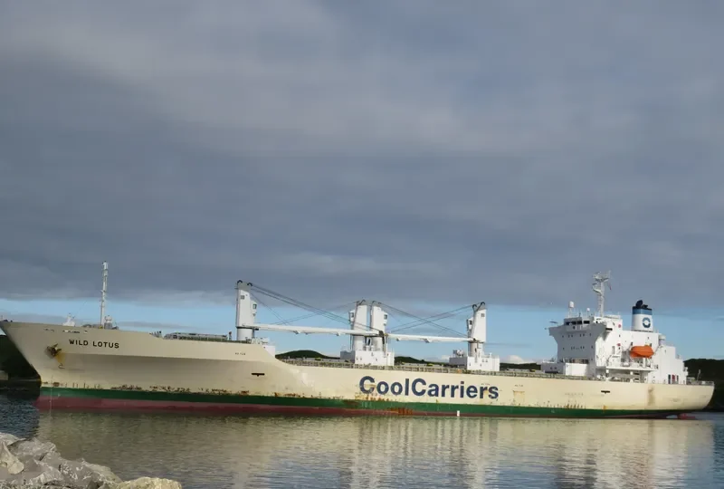 WILD LOTUS General Cargo IMO 9181168 photo 7