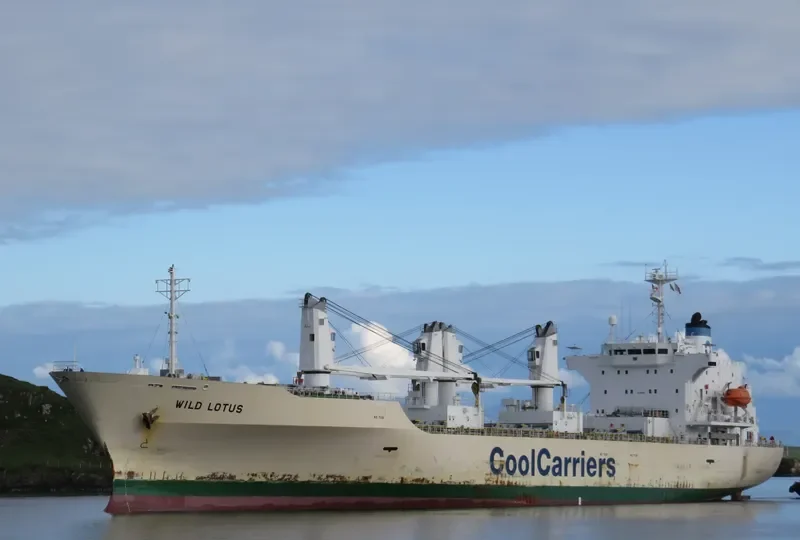 WILD LOTUS General Cargo IMO 9181168 photo 8