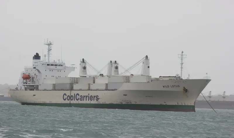 WILD LOTUS General Cargo IMO 9181168 photo 9