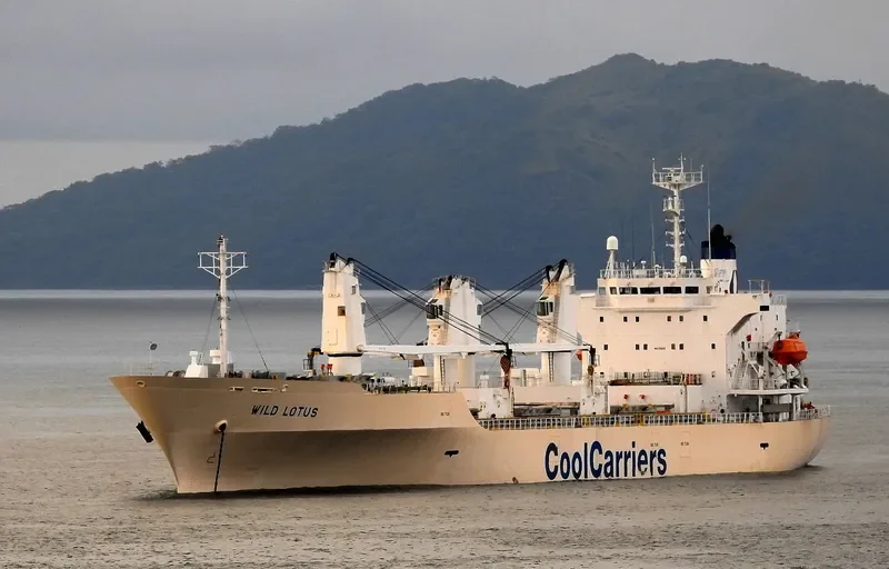 WILD LOTUS General Cargo IMO 9181168 photo 10
