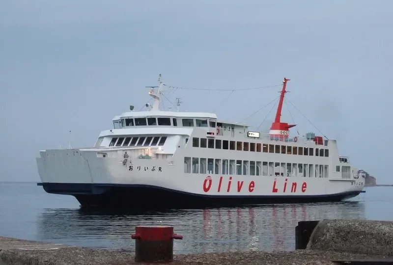 OLIVE MARU Passenger Ship IMO 9181261 photo 5