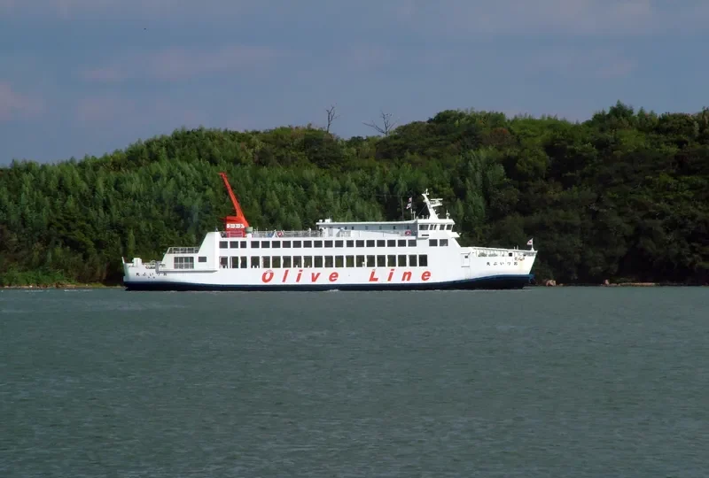 OLIVE MARU Passenger Ship IMO 9181261 photo 9