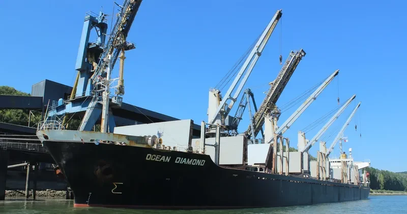 FOURTHMAN 1 Bulk Carrier IMO 9181508 photo 4