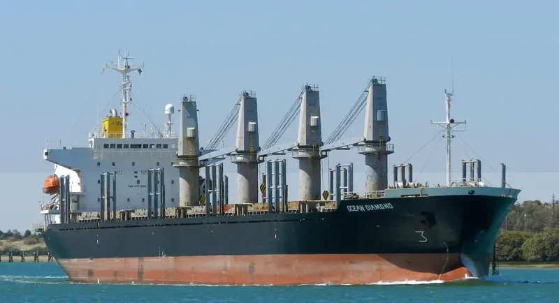 FOURTHMAN 1 Bulk Carrier IMO 9181508 photo 7