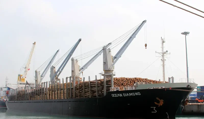FOURTHMAN 1 Bulk Carrier IMO 9181508 photo 10