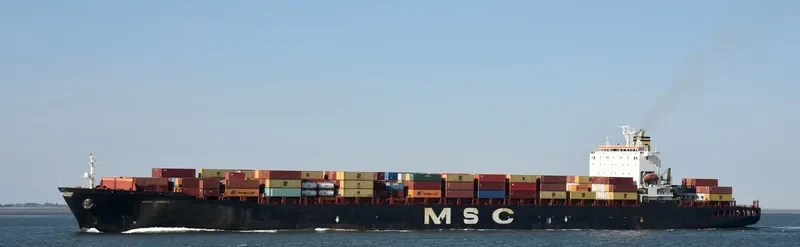 MSC INGRID Container Ship IMO 9181651 photo 2