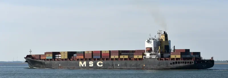 MSC INGRID Container Ship IMO 9181651 photo 3