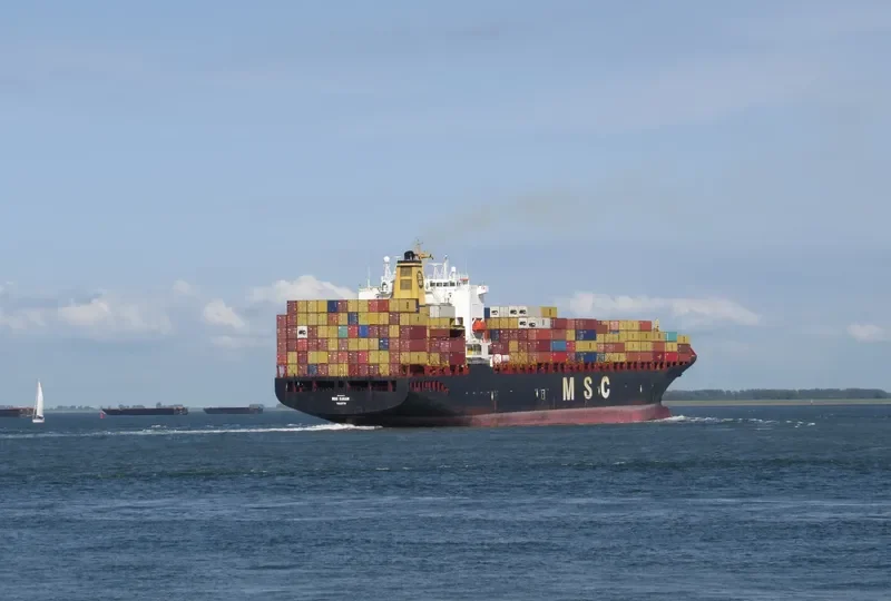 MSC SARAH Container Ship IMO 9181675 photo 2