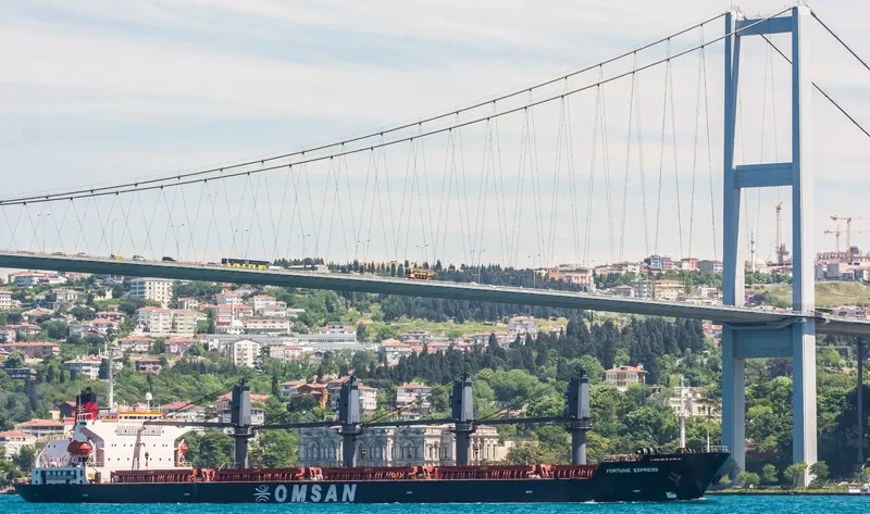 FORTUNE EXPRESS Bulk Carrier IMO 9181728 photo 3