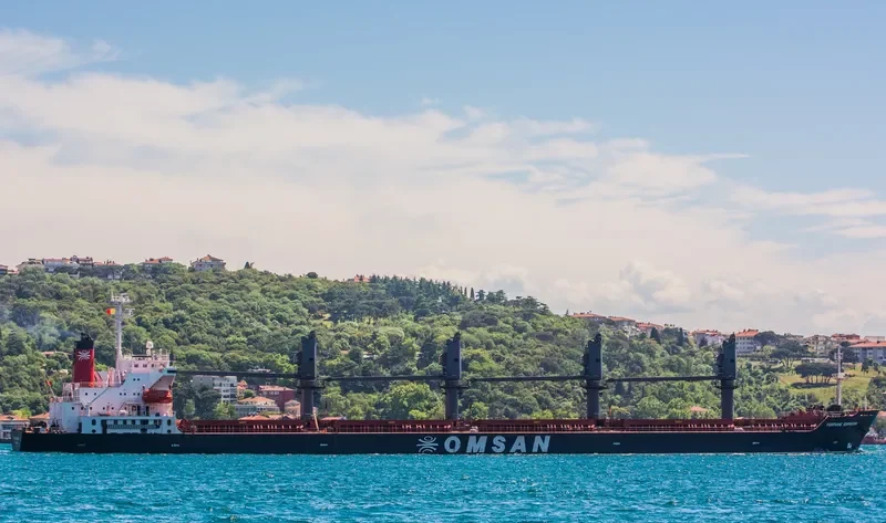 FORTUNE EXPRESS Bulk Carrier IMO 9181728 photo 4
