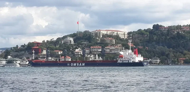 FORTUNE EXPRESS Bulk Carrier IMO 9181728 photo 6
