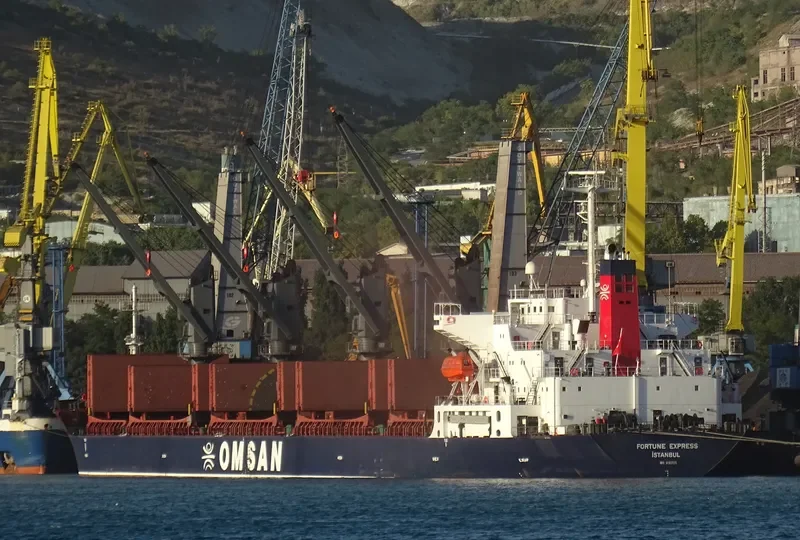 FORTUNE EXPRESS Bulk Carrier IMO 9181728 photo 7